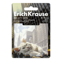 Блок самоклеящийся бумажный  ErichKrause Big City Cats, 75х75 мм, 50 листов, ассорти