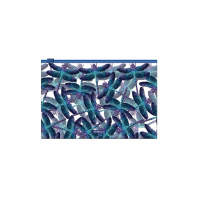 Zip-пакет пластиковый ErichKrause® Neon Dragonflies, B5 (в пакете по 12 шт.)