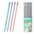 Чернографитный карандаш ErichKrause Pastel Bloom, трехгранный , с ластиком, HB (в тубусе по 42 шт.)