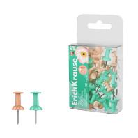 Кнопки силовые ErichKrause Цветущая нежность, ассорти (в ПЭТ-боксе по 50 шт.)