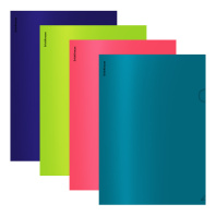 Папка-уголок пластиковая ErichKrause Matt Reef, A4, непрозрачный, ассорти (в пакете по 12 шт.)