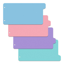 Набор из 4-х разделителей пластиковых ErichKrause Diagonal Pastel, ассорти (в пакете по 12 шт.)
