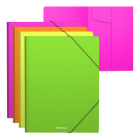 Папка на резинках пластиковая ErichKrause Matt Neon, A4, ассорти (в пакете по 4 шт.)