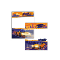 Набор пластиковых обложек ErichKrause Sport Car, для тетрадей и дневников, 212х347мм, 80 мкм, ассорти (пакет 12 шт.)