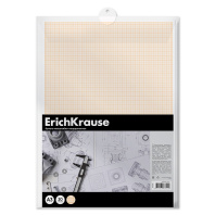 Бумага масштабно-координатная в пластиковой папке ErichKrause, А3, 20 листов