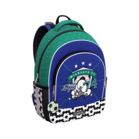 Ученический рюкзак ErichKrause ErgoLine® 15L Mega Goal