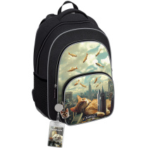 Ученический рюкзак с грудной перемычкой ErichKrause ErgoLine® 17L Big City Cats