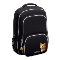 Ученический рюкзак ErichKrause ErgoLine® 20L CatPix